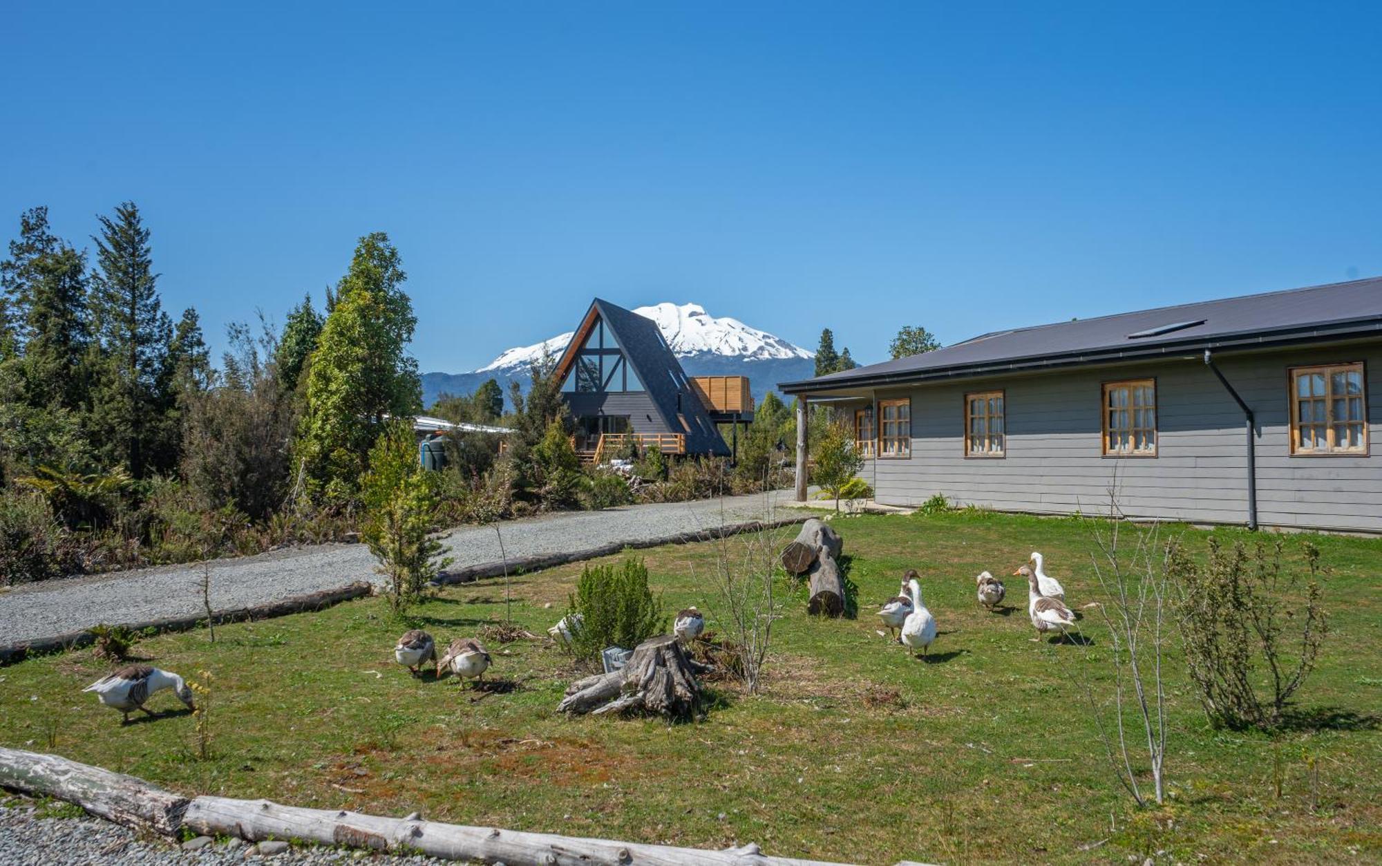 Parque La Pajarera Hotel Puerto Varas Kültér fotó